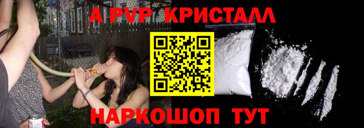 Альфа ПВП крисы CK  Вход с VPN  Alfa_PVP  Шебекино 
