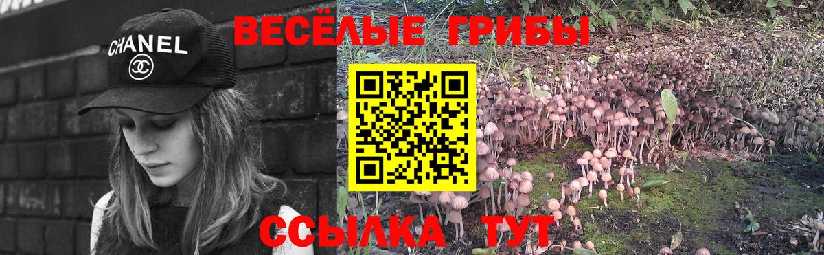 Псилоцибиновые грибы мухоморы  Псилоцибиновые грибы Psilocybe  Шебекино  Вход с VPN 