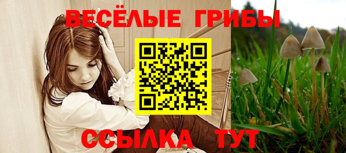 Псилоцибиновые грибы ЛСД Шебекино